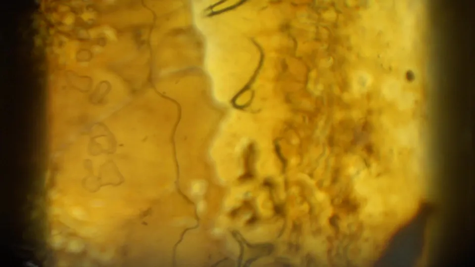 A yellow-orange abstract film frame shows apparent burn, exposure, or emulsion damage with dark vertical edges.