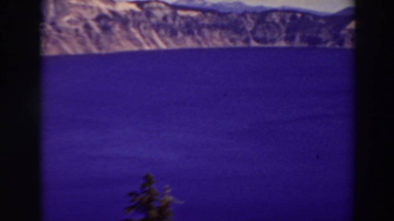 Deep blue lake water with distant crater rim cliffs and a small evergreen in the foreground.