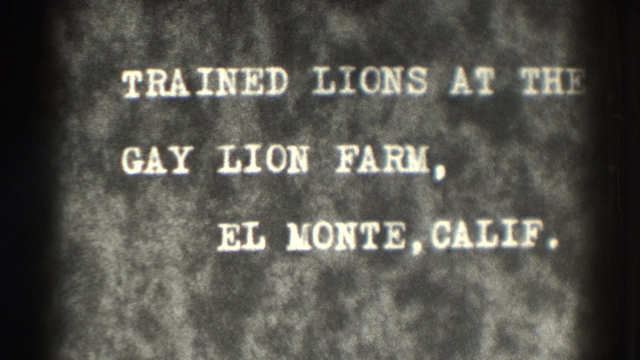 White title text on a dark grainy film background naming trained lions at the Gay Lion Farm.