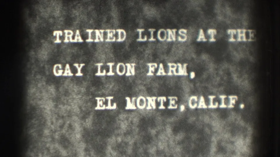 1937 8mm title card text reads “TRAINED LIONS AT THE GAY LION FARM, EL MONTE, CALIF.” against a dark grainy background.