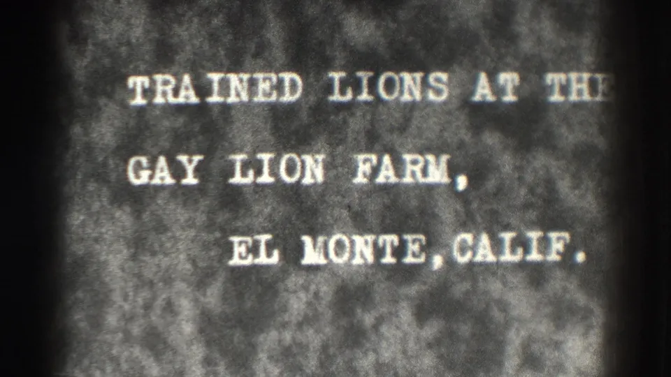 A soft, grainy 1937 title frame shows white lettering for trained lions at the Gay Lion Farm, El Monte, California.