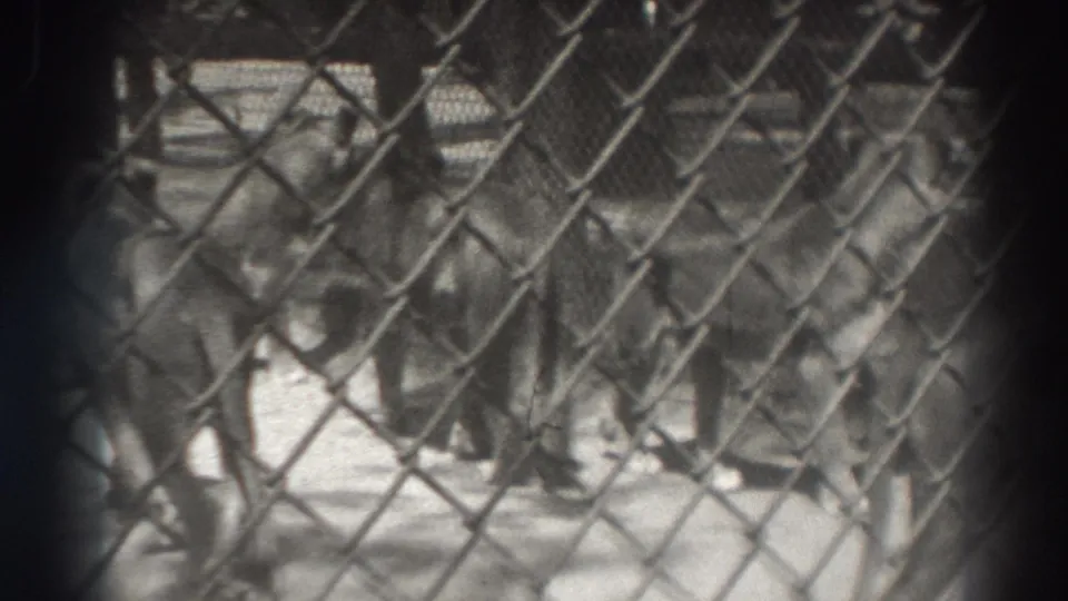 Black-and-white 8mm frame from El Monte showing tigers behind a prominent chain-link fence.