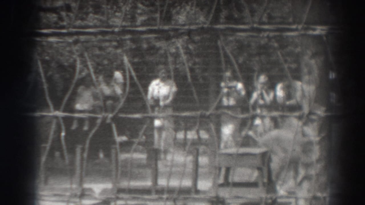 Spectators stand behind wire fencing while a lion is partly visible in a zoo enclosure.