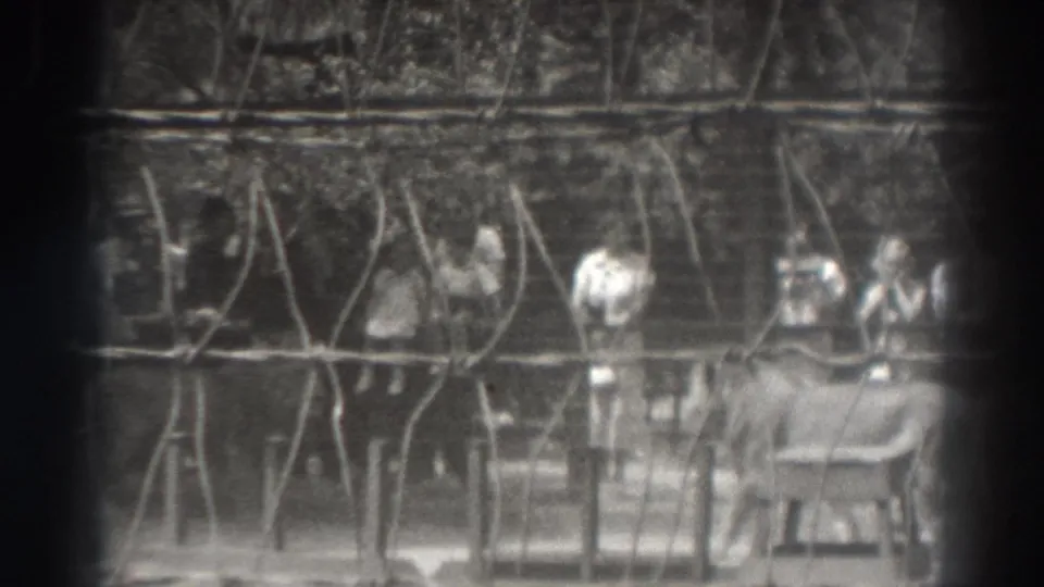 1937 El Monte zoo scene with a thin lion near the fence and a small group of spectators behind wire mesh.