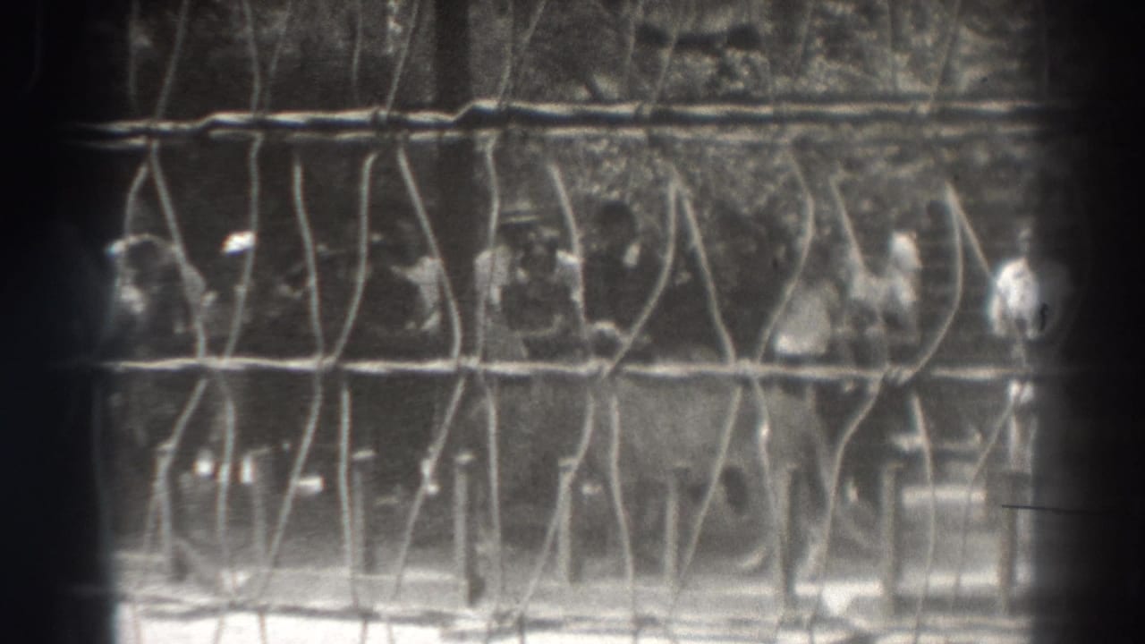 1937 El Monte home-movie frame showing visitors behind a wire barrier watching a lion in a zoo enclosure.