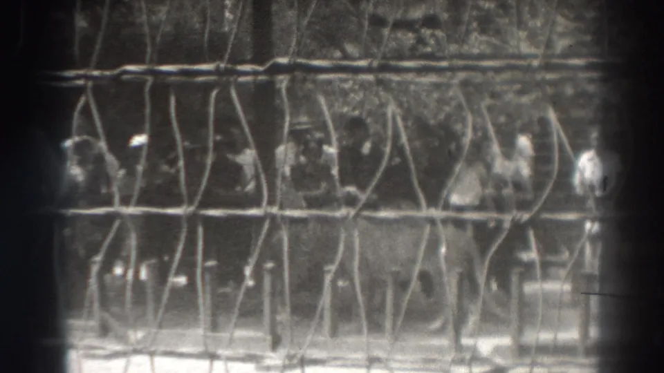 1937 El Monte home-movie frame showing visitors behind a wire barrier watching a lion in a zoo enclosure.