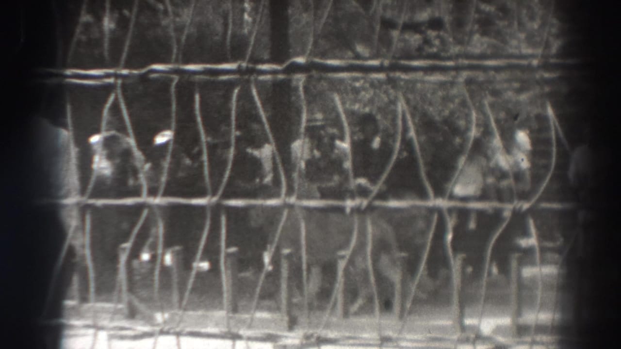 People in period clothing stand behind fencing as a lion appears inside the enclosure.