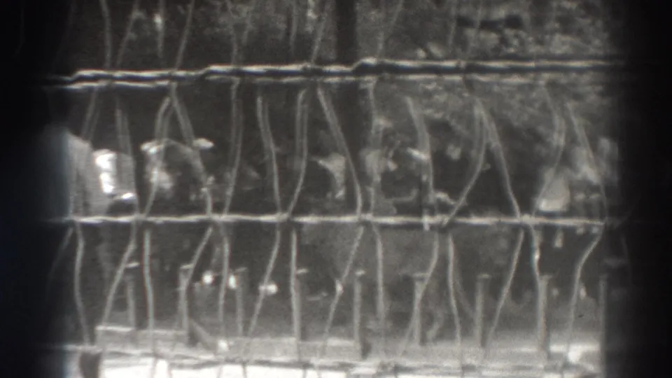 1937 El Monte 8mm frame of visitors watching a zoo enclosure through a wire barrier, with the lion partly obscured.