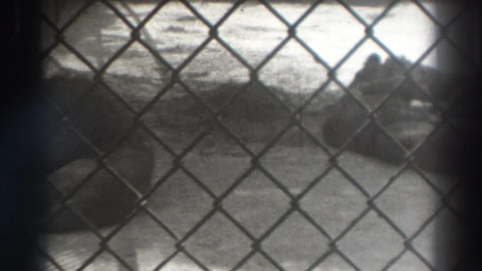 Final sampled frame shows the lion near the right side of the enclosure, still behind chain-link fencing in the 1937 home movie.