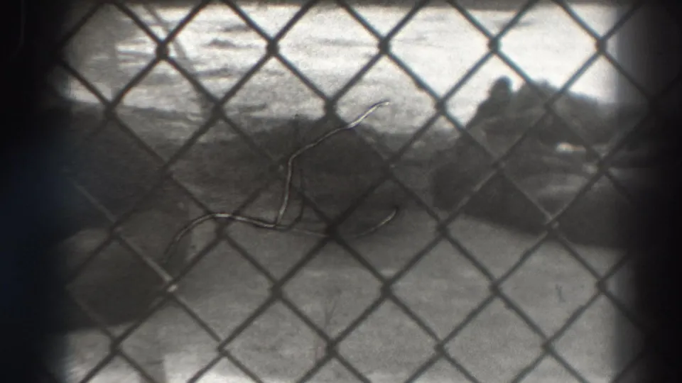 1937 8mm frame cataloged to El Monte, California, showing a chain-link fence over a blurred shore or beach area.