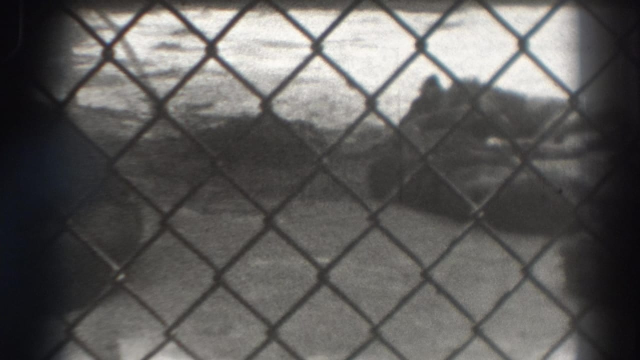 Obscured shore seen through chain-link fence with dark shapes beyond.