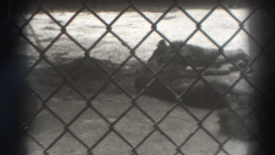 Cataloged 1937 8mm frame showing a fence grid over a soft, high-contrast shore or beach scene with no visible people.