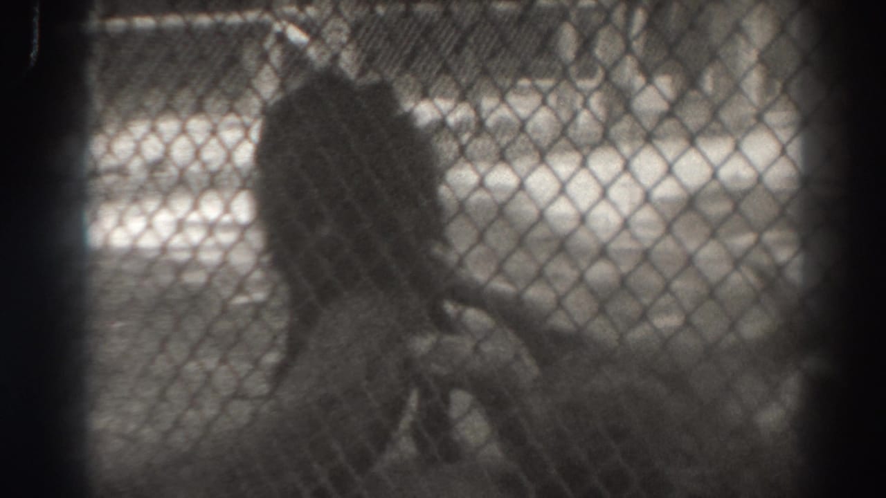 1937 El Monte zoo footage showing a dark large animal form behind chain-link fence and vertical bars.
