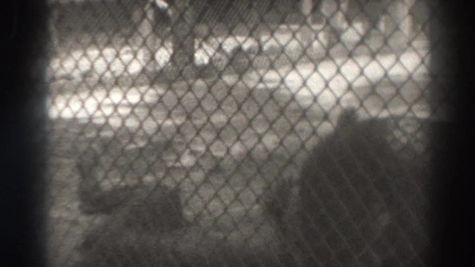 A final grainy view from the 1937 El Monte zoo visit shows animal shapes behind chain-link fence and dark vertical framing.