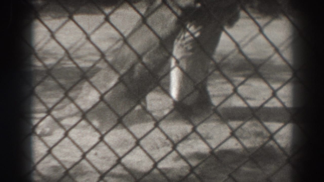 Chain-link view of a lion lying on enclosure ground with a handler partly visible nearby.