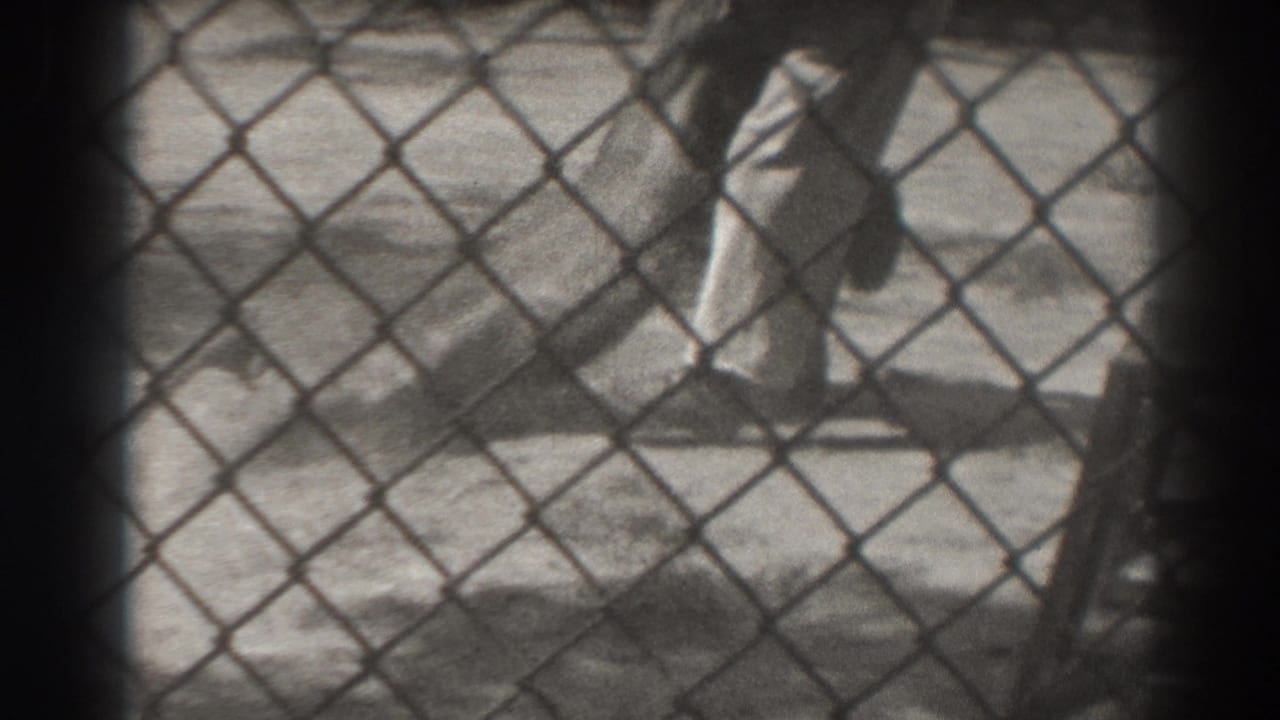 Handler in light clothing stands near a lion lying inside a fenced enclosure.
