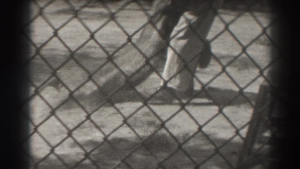 A 1937 El Monte enclosure scene shows a handler in light clothing beside a motionless lion, viewed through chain-link fence.