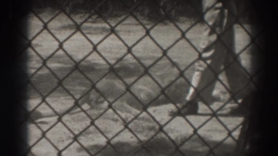 A partially cropped handler stands beside a motionless lion in the 1937 El Monte enclosure, with fence diamonds across the frame.