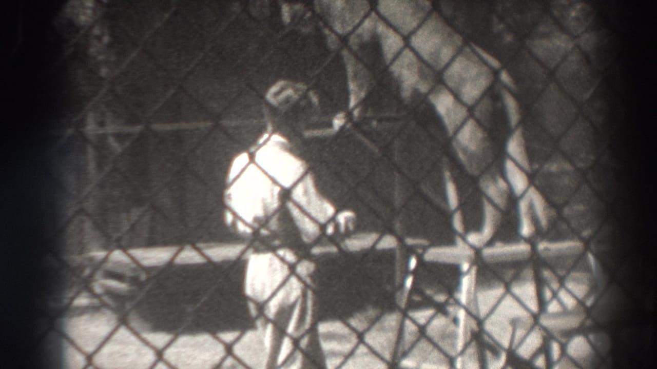 Man in light clothing stands outside a chain-link fence near a large feline in an enclosure.