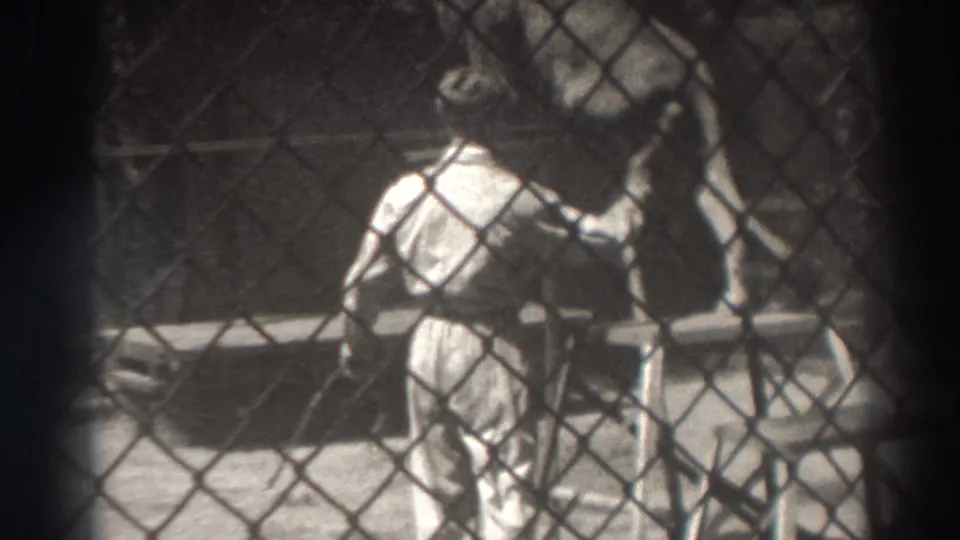 The trainer remains near the fence as the large cat stands inside the enclosure, with rails and shadows visible behind them.