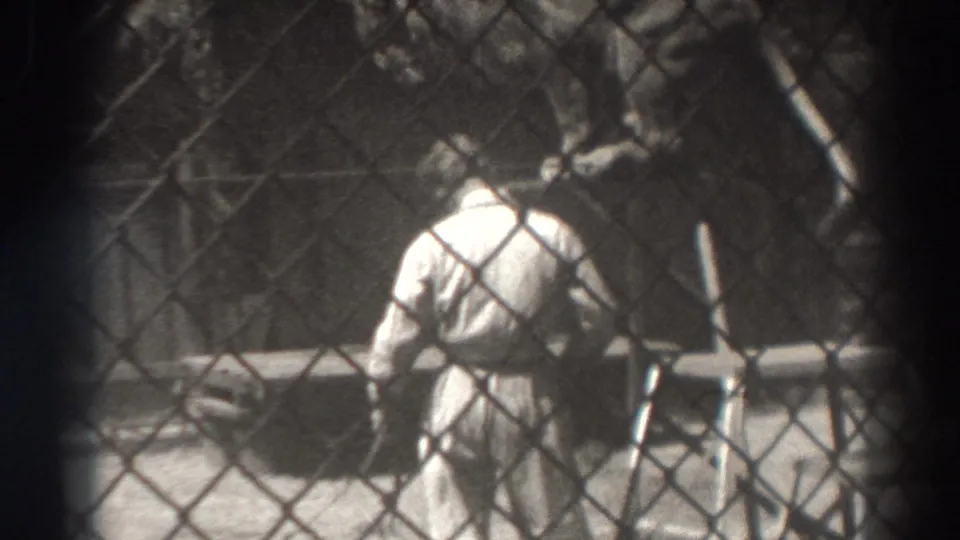 In the grainy 8mm frame, the trainer bends near the chain-link barrier while the big cat is partly visible in the shaded cage.