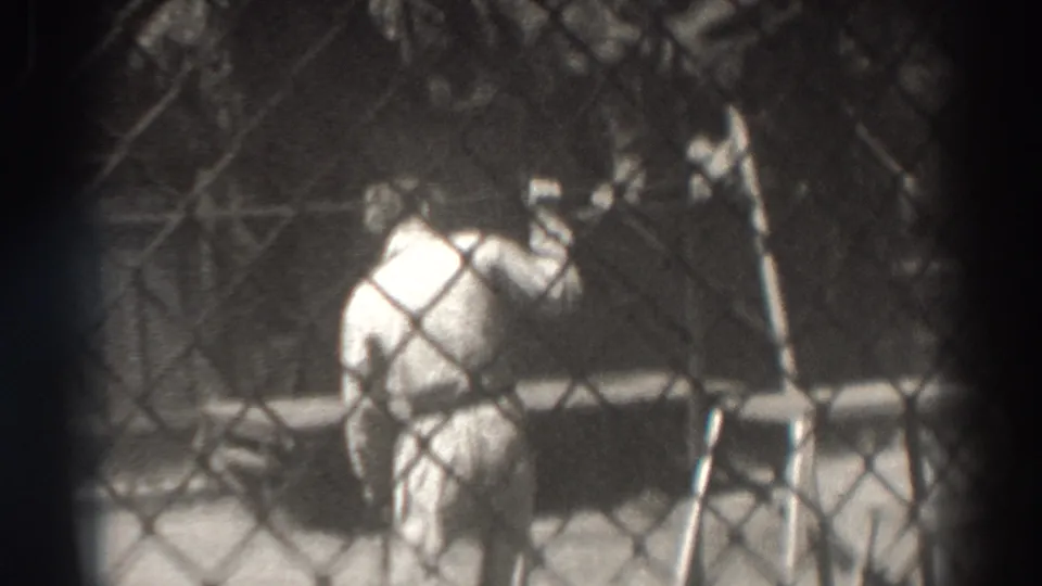 The final frame shows the trainer raising an arm near the fenced big-cat enclosure, with the animal and railings partly obscured by shadows.