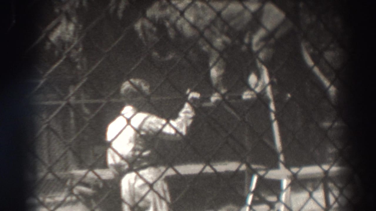 Trainer in light clothing reaches toward a lion through a chain-link cage.
