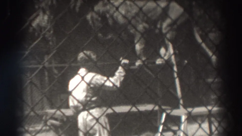 In 1937 El Monte, California footage, a trainer in light clothing reaches toward a lion behind a chain-link circus enclosure.