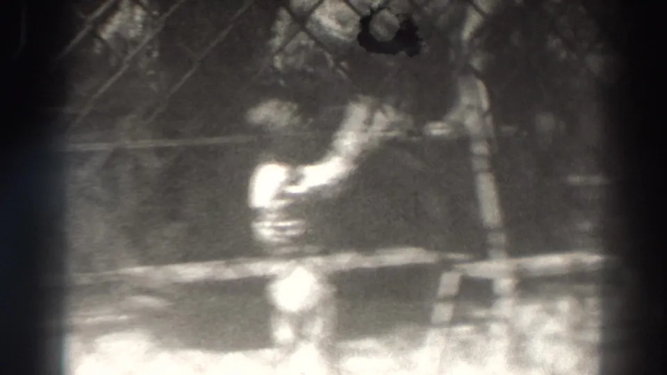 A blurred 8mm frame shows the trainer reaching through or near the chain-link fence toward the lion in the 1937 California circus scene.
