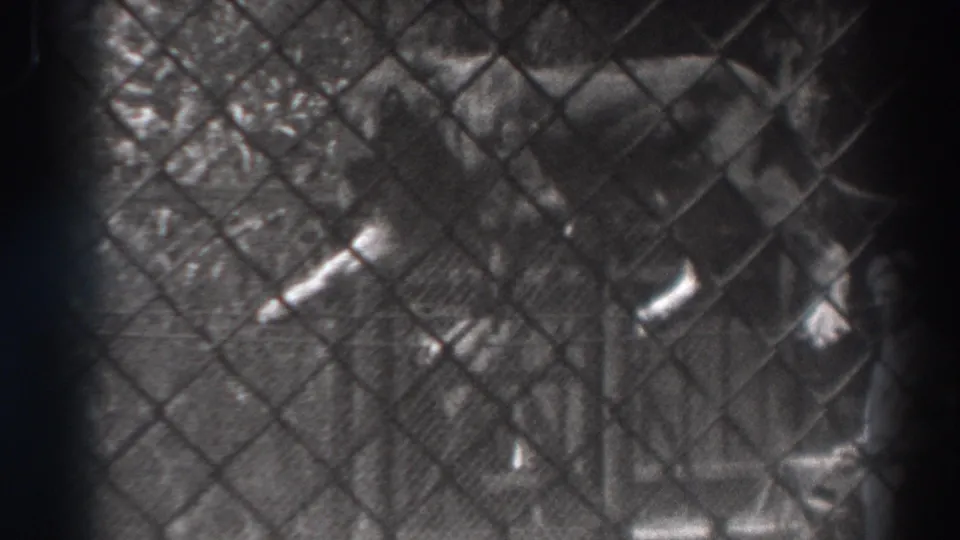 The lion advances along the rope in the El Monte enclosure, partially obscured by the chain-link fence and soft 8mm focus.