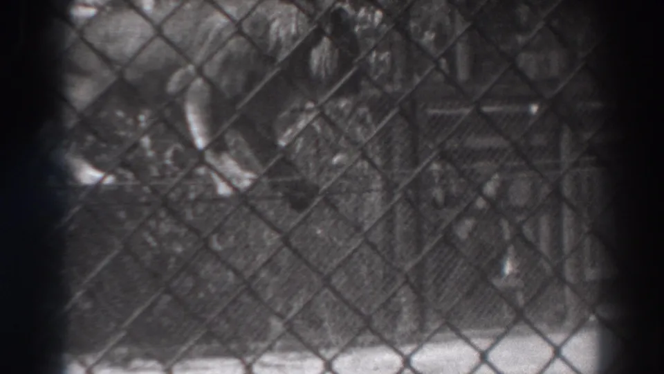 The home-movie frame shows the lion close to the fence line, with its body and legs visible through the diamond-pattern mesh.