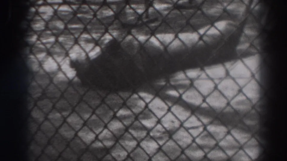 In 1937 El Monte footage, a lion rests on the ground behind chain-link fencing, partly obscured by shadows and film-edge vignetting.