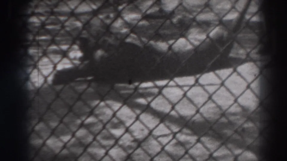 The lion remains stretched behind the enclosure fence as a partially visible handler stands near the animal's tail in the 1937 El Monte home movie.