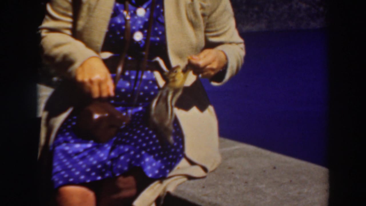 At Lake Tahoe in 1937, a seated woman in a blue polka-dot dress and beige cardigan feeds a small animal near her lap.