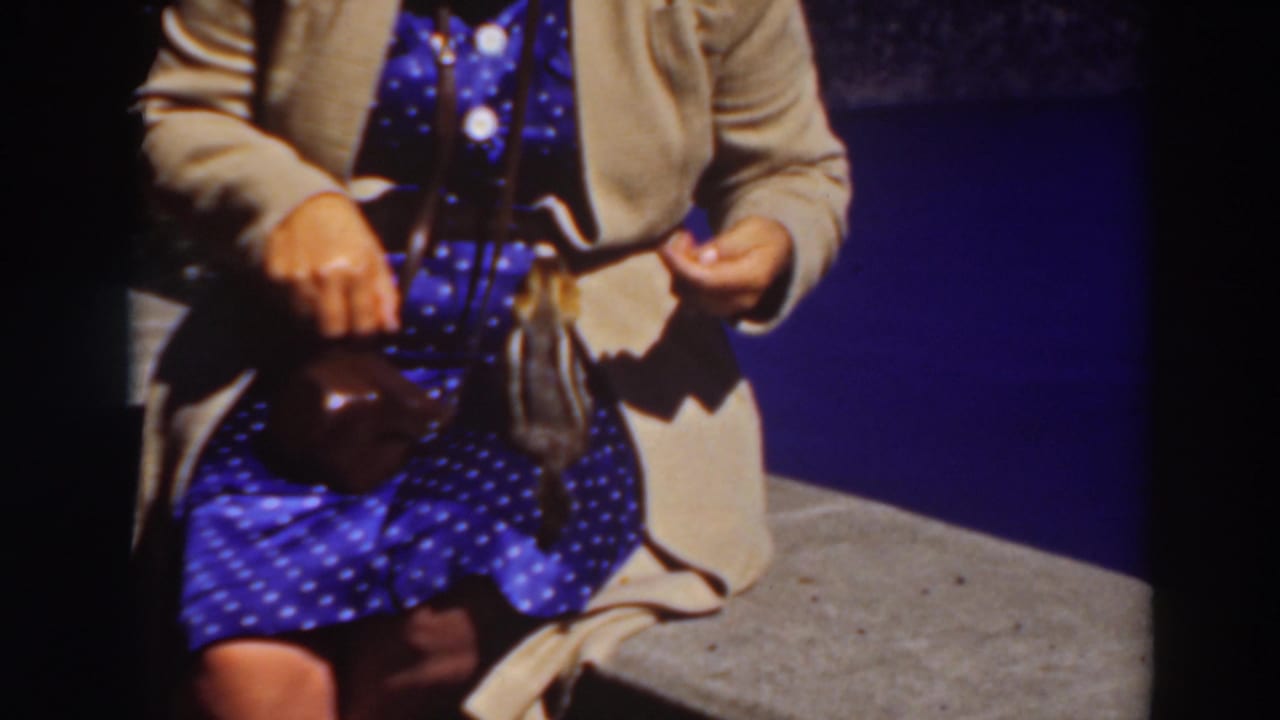 Woman holding food near a small animal while seated on a stone ledge.