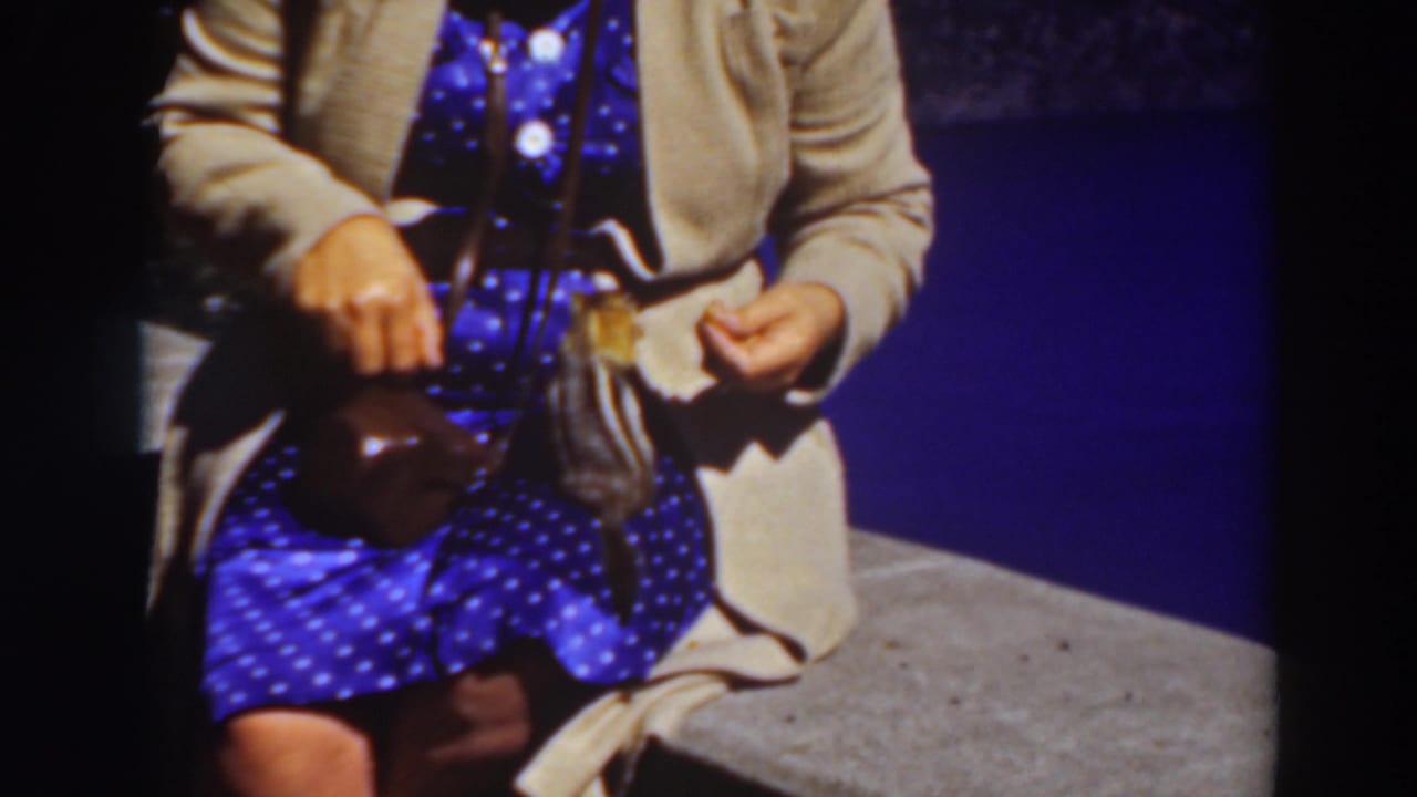 Seated woman in a blue polka-dot dress and beige cardigan holding food near a small chipmunk.