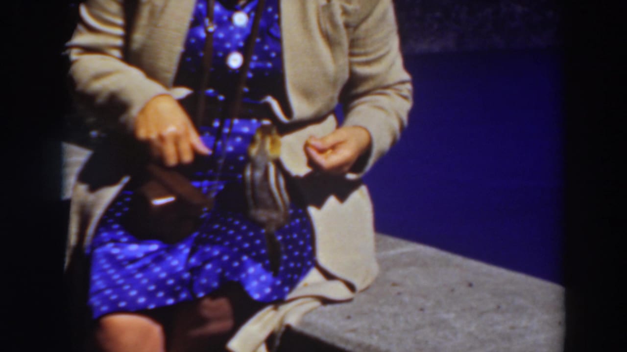 A 1937 Lake Tahoe home-movie frame shows a seated woman with a chipmunk close to her hands and dress.