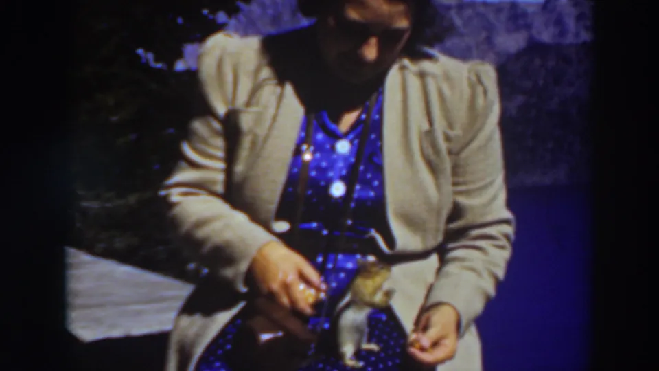 The Lake Tahoe scene continues with the woman seated in close frame as the chipmunk stays near her hand and food bag.