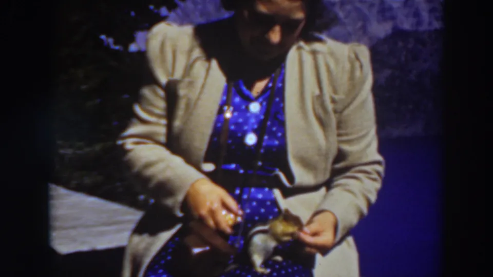 At Lake Tahoe in 1937, a woman in a beige jacket and blue polka-dot dress offers food to a chipmunk in an 8mm home-movie frame.