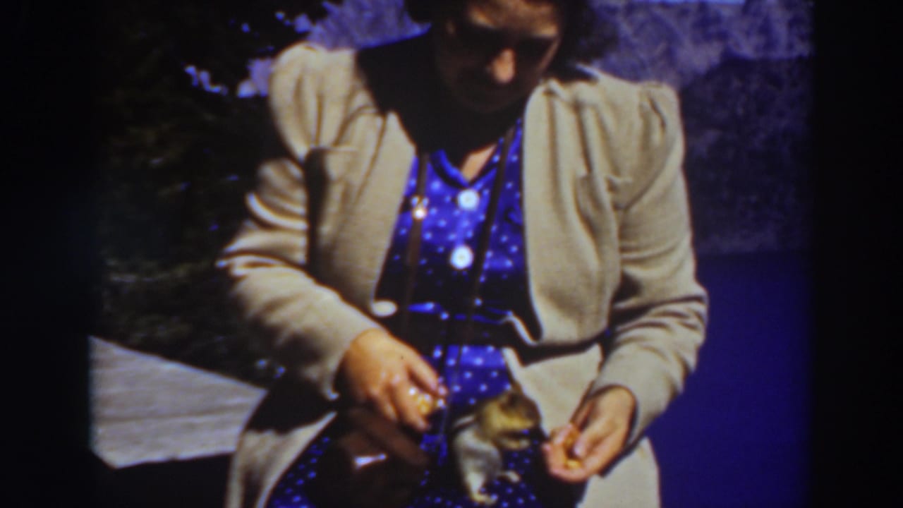 Woman holds food near a chipmunk perched close to her lap.