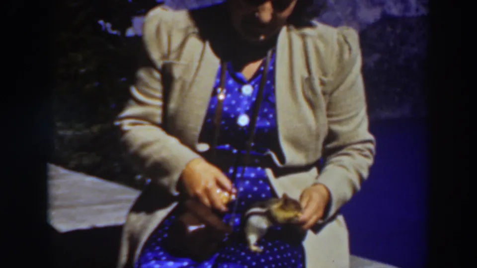In soft 8mm color, the woman at Lake Tahoe looks down toward the chipmunk as it feeds near her lap.