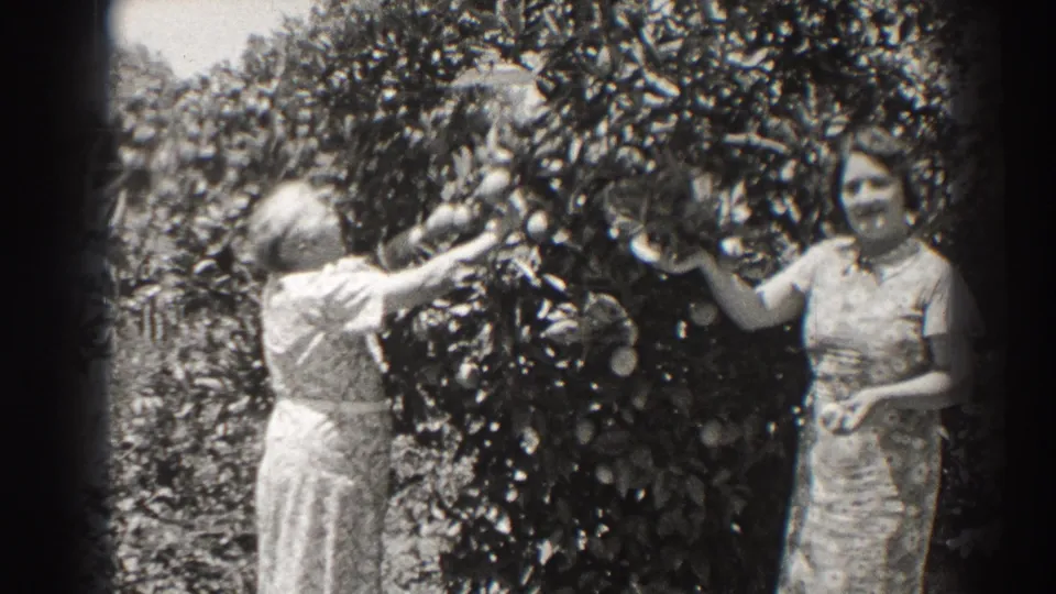 Two women in period dresses stand by a fruit tree in the 1937 Long Beach home movie, one reaching up to pick fruit.