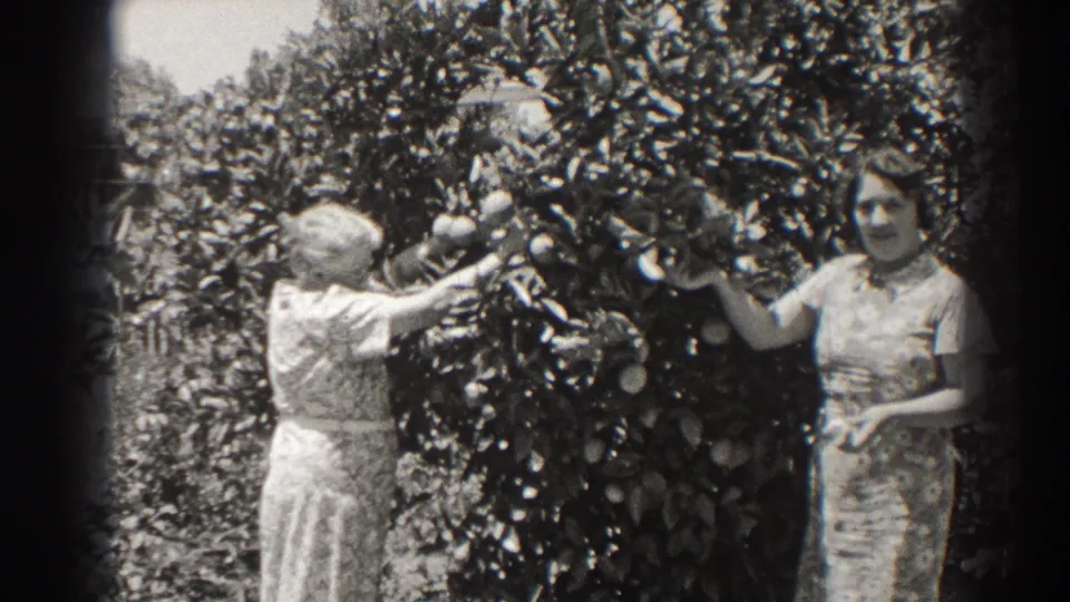 In the 1937 Long Beach garden scene, two women stand near a leafy fruit tree while one reaches toward visible fruit.