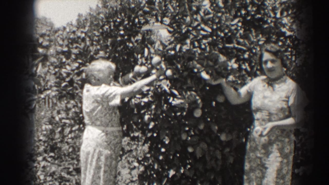 In 1937 Long Beach home-movie footage, two adult women in dresses stand by a fruit tree as one reaches into the branches.