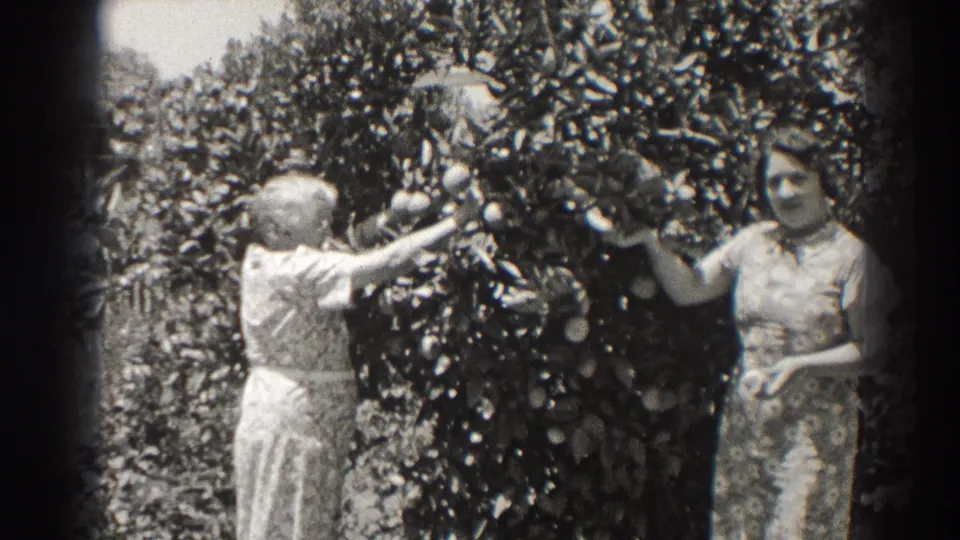 In 1937 Long Beach home-movie footage, two adult women in dresses stand by a fruit tree as one reaches into the branches.