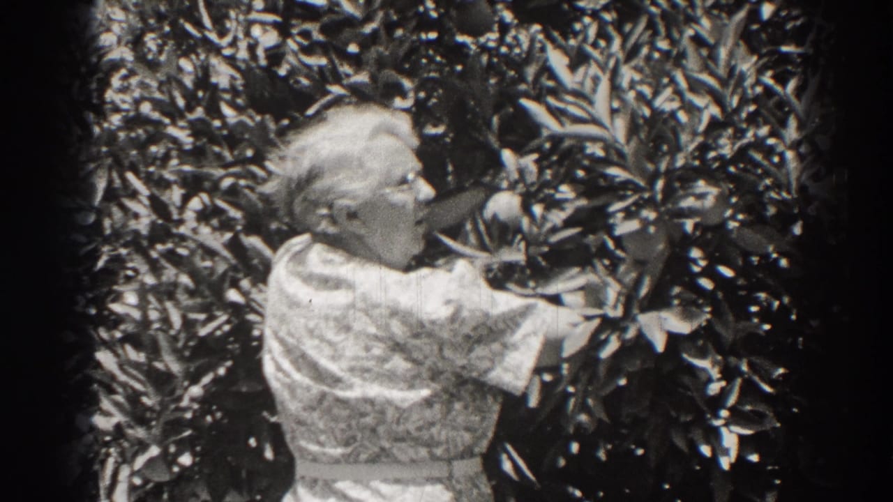 Older woman with glasses reaches into leafy branches outdoors.