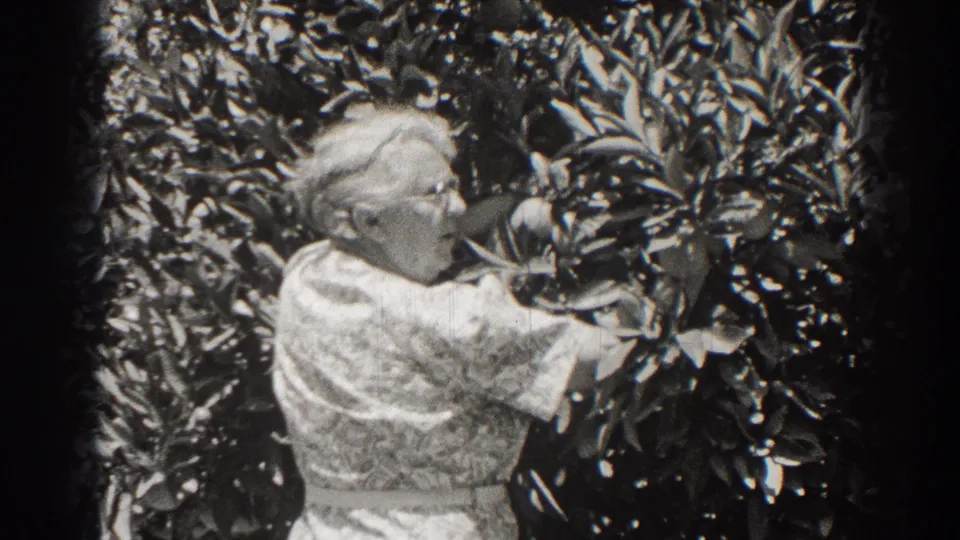 The woman remains close to the tree, reaching toward the leaves in a black-and-white 8mm frame from Long Beach.