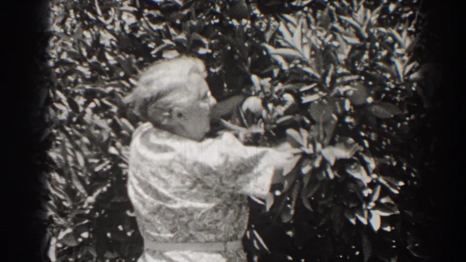 An older woman in a patterned dress leans into the garden foliage, her face turned toward the leaves.