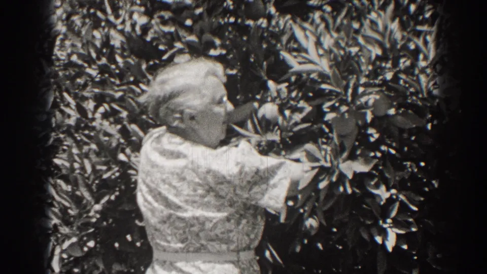 Near the end of the clip, the woman bends slightly toward the leafy tree, continuing her close inspection.