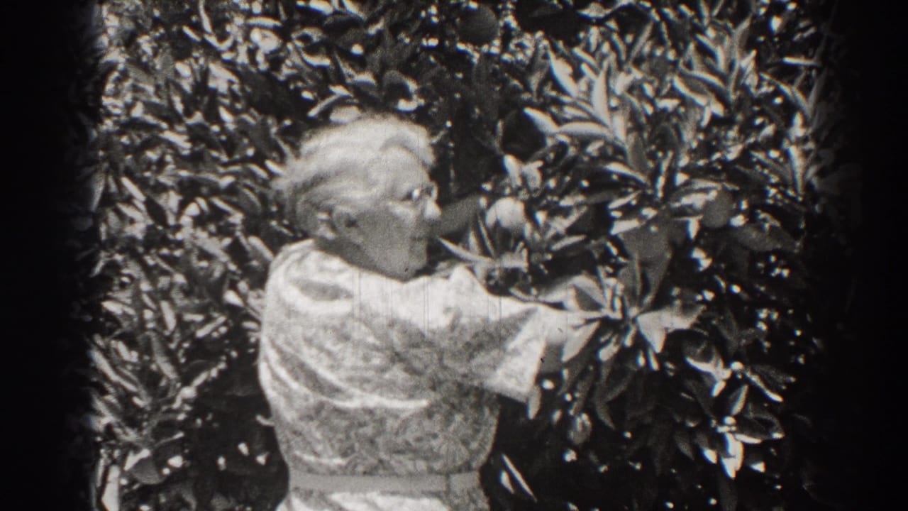 Older woman in a patterned dress reaches into a leafy bush.